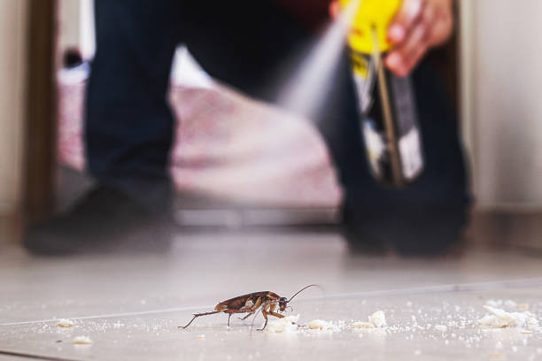 Trusted Mathews, LA Pest Control Experts